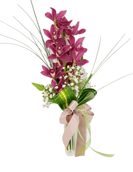 Ramo di Orchidea Cymbidium » Fiori a Anzio, Fiorista a Anzio per acquisto  online e invio con consegna a domicilio a Anzio.