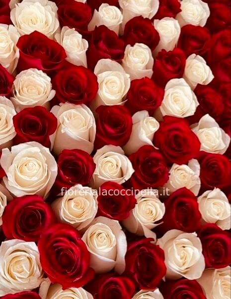 Bouquet Rose Rosse & Bianche