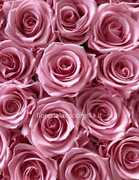 Bouquet Rose Rosa
