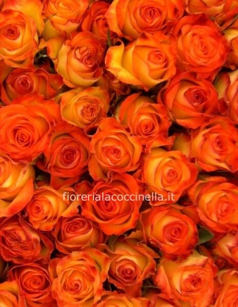 Bouquet Rose Arancio