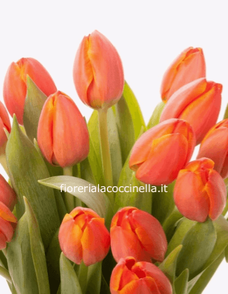 Bouquet Tulipani Arancio