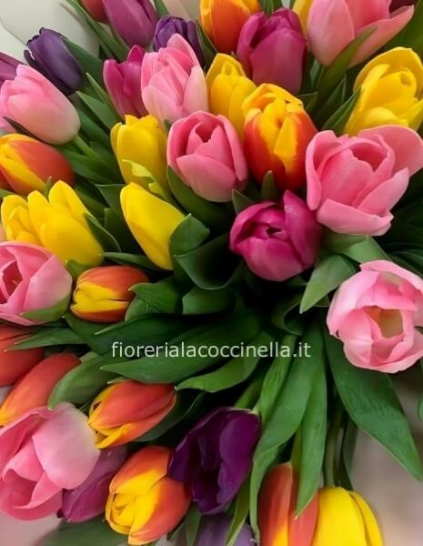 Bouquet Tulipani Misti