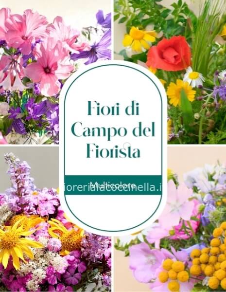 Omaggio Floreale scelto dal Fiorista CAMPESTRE