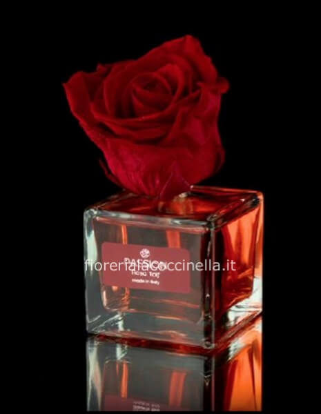 Rosa Stabilizzata - Elisir Rosso